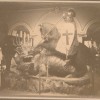 Page link: A J Chaston's Christmas Displays at Palmers 1903-1909 Part Two