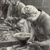 Page link: Scotch Girls Gutting Fish, 1950's